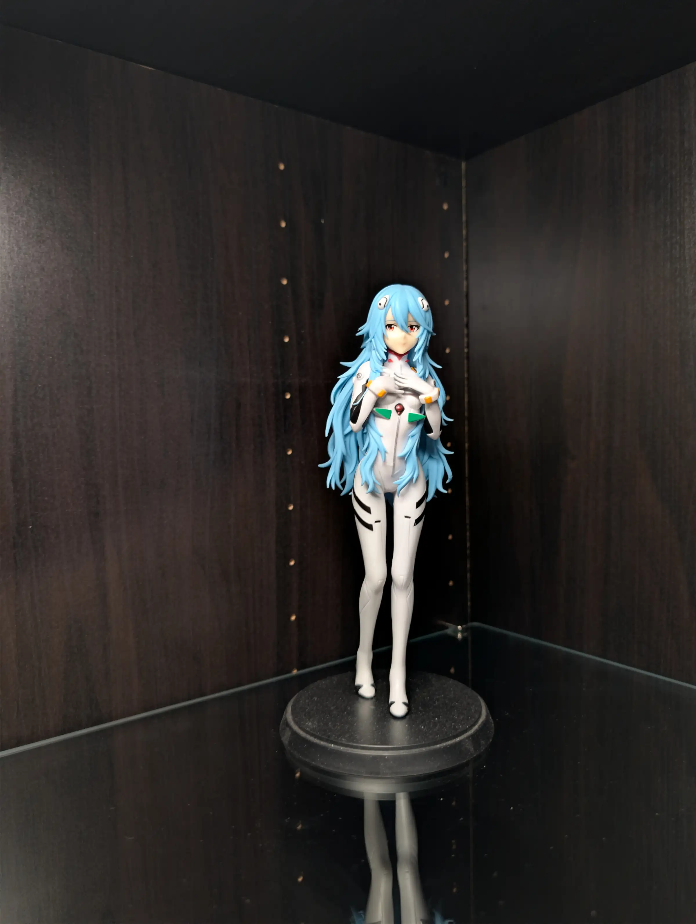 Image of figure Ayanami Rei - Long Hair